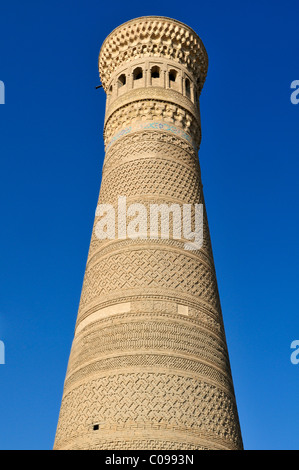 Kalan, Kalyan, Kalon Minarett, Buchara, Buchara, Silk Road, Unesco World Heritage Site, Usbekistan, Zentralasien Stockfoto