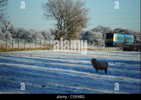 Fotografien von Arriva Zügen Stockfoto