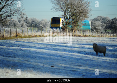 Fotografien von Arriva Zügen Stockfoto