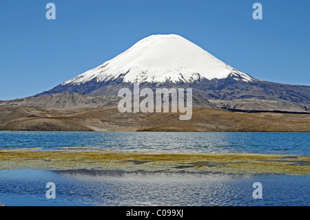 Vulkan Parinacota, Chungara See, Nationalpark Lauca, Altiplano, Norte Grande, Nord-Chile, Chile, Südamerika Stockfoto