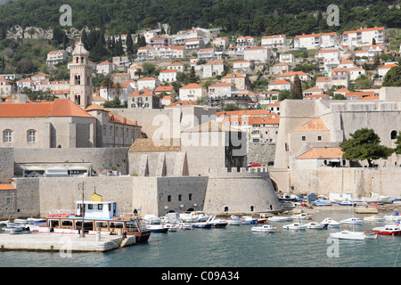 Blick von der Stadtmauer auf den alten Hafen, Dubrovnik, Ragusa, Kroatien, Europa Stockfoto