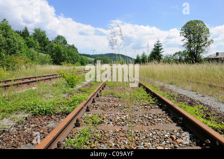 Stillliegende Bahnstrecke, Kaumberg, Triestingtal, Niederösterreich, Europa Stockfoto