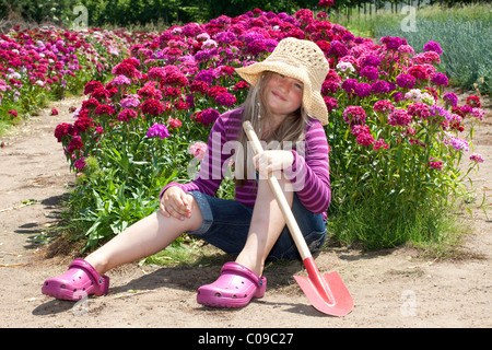 Mädchen, 8 Jahre alt, sitzt mit einem Spaten auf ein Feld von Sweet William Nelken Stockfoto