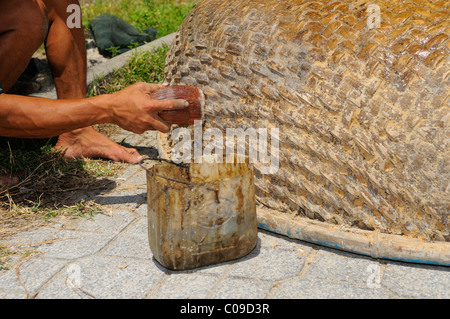 Fischer, die Reparatur seines Bootes traditionelle Runde Wicker, Vietnam, Südostasien Stockfoto