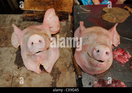 Zwei Schweine Köpfe auf einem Markt, Vietnam, Südostasien Stockfoto