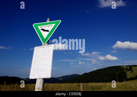 Melden Sie sich für ein Naturschutzgebiet im Schwarzwald, Baden-Württemberg, Deutschland, Europa Stockfoto