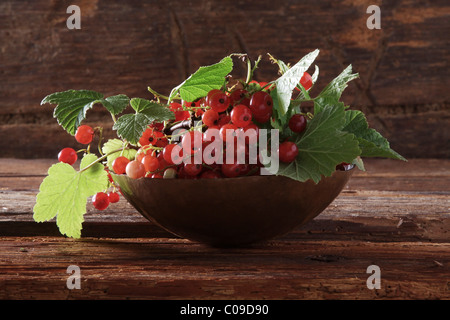 Eine Schale mit roten Johannisbeeren (Ribes Rubrum) auf einem hölzernen Hintergrund Stockfoto