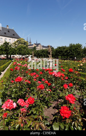 Rosengarten der neuen Residenz, neue Residenz, Kirche von St. Michael, Bamberg, Oberfranken, Franken, Bayern Stockfoto