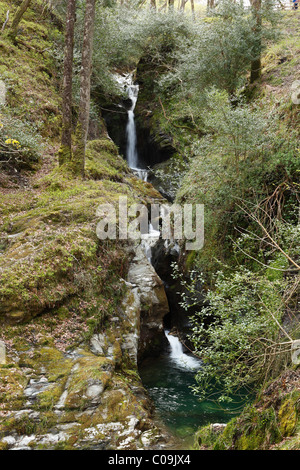 Poulanass Wasserfall, Vale of Glendalough, Wicklow Mountains, County Wicklow, Irland, britische Inseln, Europa Stockfoto