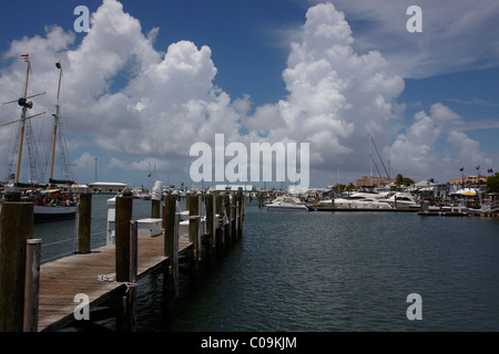 Marina in Key West Stockfoto