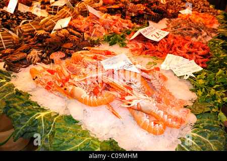 Krabben, Garnelen, verschiedenen frischen Fisch, Markthallen, Mercat De La Boqueria, Barcelona, Las Ramblas, Katalonien, Spanien, Europa Stockfoto