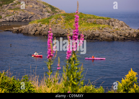 Kanuten paddeln in der Nähe von Monhegan Island, Maine Stockfoto