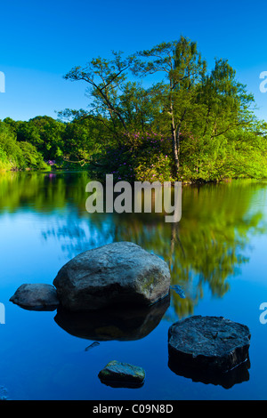 England, Northumberland, Bolam Lake Country Park. Trittsteine auf Bolam Lake Country Park in Northumberland. Stockfoto