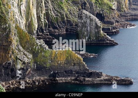 Klippen, steile Küste auf der Old Head of Kinsale, County Cork, Irland, britische Inseln, Europa Stockfoto