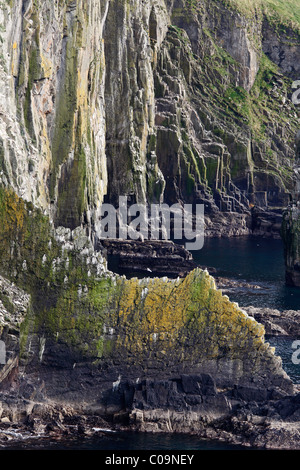 Cliffs, steep coast on the Old Head of Kinsale, County Cork, Republic of Ireland, British Isles, Europe Stockfoto
