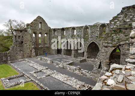 Kloster-Ruinen, Jerpoint Abbey, Grafschaft Kilkenny, Irland, britische Inseln, Europa Stockfoto