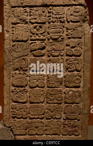 Maya Glyphen auf Sturz 47 aus der Maya-Stätte Yaxchilan, Chiapas jetzt in das nationale Museum für Anthropologie, Mexiko-Stadt. Stockfoto