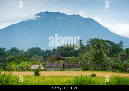 Die Landschaft in Sideman, Bali ist der aktive Vulkan Gunung Agung, dominiert, die zuletzt im Jahre 1963 ausbrach. Stockfoto