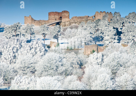 Hoar Milchglas Bäume & 13. Jahrhundert Beeston Schloß im Winter, Beeston, Cheshire, England, UK Stockfoto