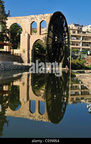 Noria Wasserrad am Fluss Orontes in Hama, Syrien, Nahost, Westasien Stockfoto