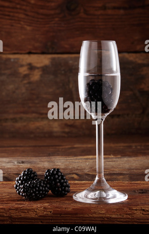 Glas von Blackberry Schnaps mit Brombeeren (Rubus Sectio Rubus) vor rustikale Holz Stockfoto