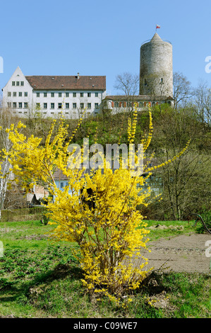 Rundturm der ehemaligen Burg neben einem neuen Haus von 1934, Camburg, Dornburg-Camburg, Thüringen, Deutschland, Europa Stockfoto