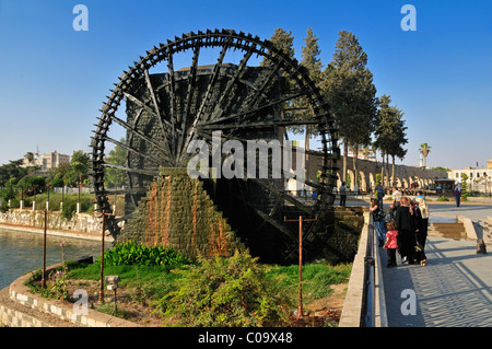 Noria Wasserrad am Fluss Orontes in Hama, Syrien, Nahost, Westasien Stockfoto