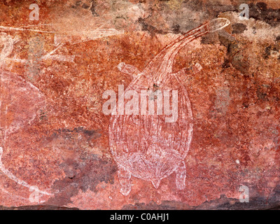 Aborigine-Felskunst Darstellung einer Schildkröte, Ubirr, Kakadu-Nationalpark, Northern Territory, Australien Stockfoto