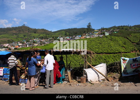 Touristen in einem alkoholfreien Getränk shop von Tee Plantagen in den malerischen touristischen hill station Munnar, Kerala, Indien Stockfoto