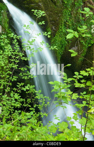 Wasserfall. Teil auf Lager ghyll Kraft, Ambleside, Cumbria, Großbritannien. Der Lake District.. Stockfoto