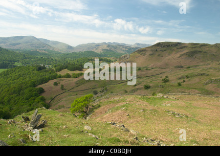 Von Todd cragg am südlichen Rande des loughrigg fiel, Aussicht über den Fluss Brathay Tal.. Cumbria, Großbritannien. in den Lake District. Stockfoto