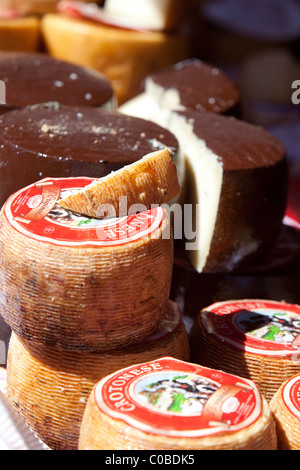 Lokale vintage Käse aus Korsika auf Verkauf im Markt Ajaccio Stockfoto