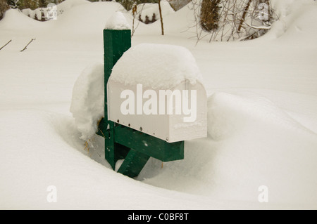 Postfach fallenden schweren Schnee Stockfoto