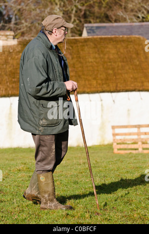 Shepherd arbeitet ein Schäferhund Schafe in einem Feld aufrunden Stockfoto