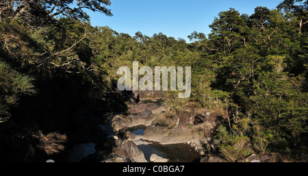 Blau Blick flussabwärts durch gemäßigten Regenwald-Bäume, ein voller Schlaglöcher vulkanischen Felsen Flussbett am Petrohue Wasserfall, Chile Stockfoto