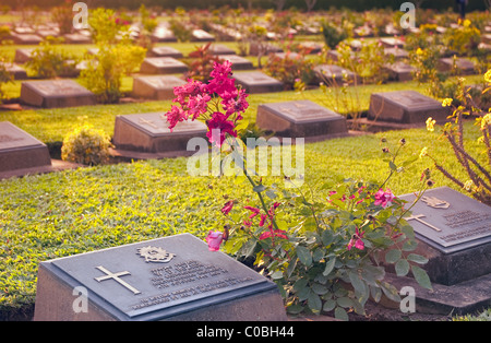 Gräber im Alliierten Soldatenfriedhof, Kanchanaburi, Thailand Stockfoto