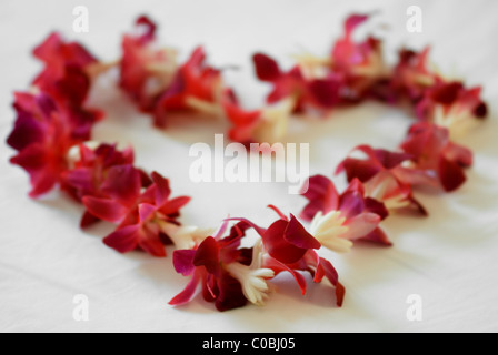 Rosa Blume Lei in Herzform auf Hotelbett in Hawaii angeordnet. Stockfoto