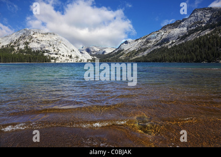 Malerischer Strand am seichten See in den Bergen von Tioga Pass Stockfoto