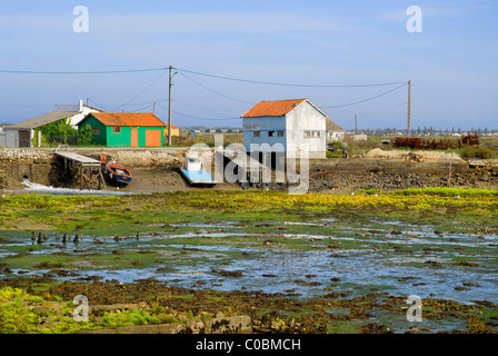 Saint Trojan Oleron in Frankreich, Region Auster, bei Ebbe, mit Fischer Hütten im Hintergrund. Departement Charente Maritime. Stockfoto
