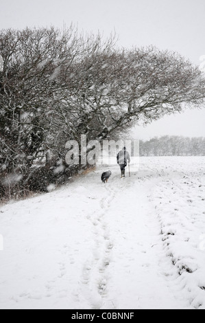 Mann und Collie Hund zu Fuß entlang Fußweg über Felder durch Schneesturm. Stockfoto