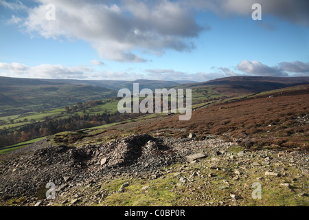 Ansicht West über Swaledale im Herbst von den Hängen des Calver Hügel in der Nähe von Dorf Healaugh Yorkshire Dales UK Stockfoto