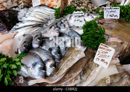 Fischgeschäft Stall anzeigen im Borough Market, Southwark, London, England, UK Stockfoto