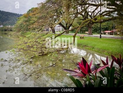Schildkröte Landeplattform, Taman Tasik Taiping Stockfoto