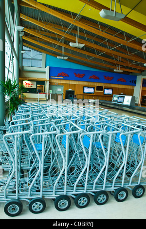 Reihen von Gepäckwagen in einer Flughafen-Ankunftshalle Stockfoto