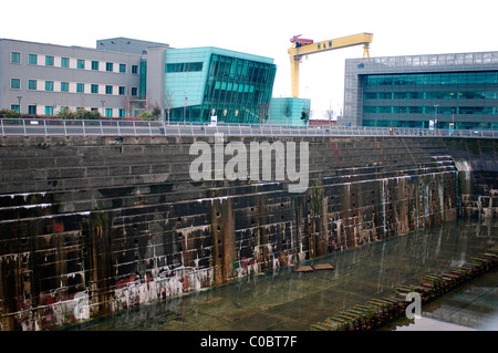 Neubauten, Harland und Wolff Krane rund um die Titanic Quarter sind die Kulisse für das Titanic Graving Dock in Belfast Stockfoto