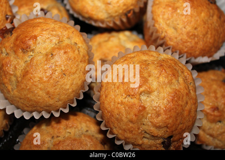 Nahaufnahme eines warmen gebackenen muffins Stockfoto