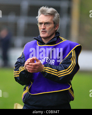 Wexfords Manager Colm Bonnar schaut auf seiner Seite. Allianz Hurling League Division 1 Runde 2, Wexford V Waterford, 20. Februar 201 Stockfoto