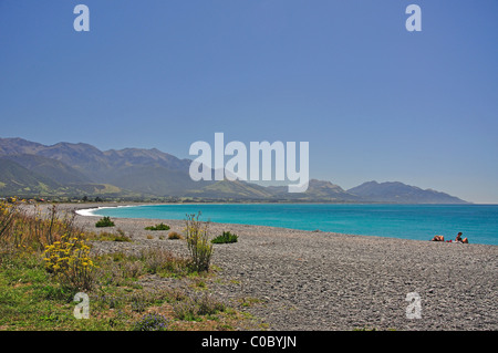 Blick auf Strand, Kaikoura Coast, Kaikoura, Canterbury, Südinsel, Neuseeland Stockfoto