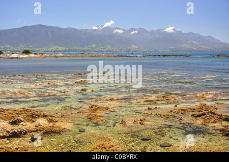 Seaward Kaikoura reichen von Kaikoura Stadt, Kaikoura, Region Canterbury, Südinsel, Neuseeland Stockfoto