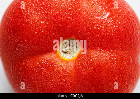 Tomaten und Kondensation auf weißem Hintergrund Makro Stockfoto